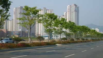 가로수패턴3